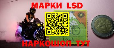 стафф Будённовск