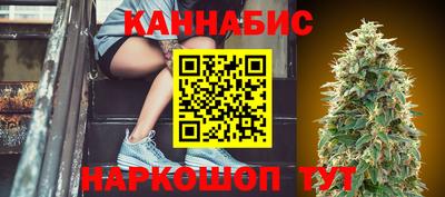 стафф Будённовск